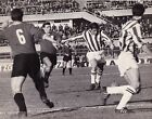 Calcio-Football Foto Azione Juventus-Messina 1965, Leoncini