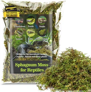 Sphagnum Moss for Reptiles - Terrarium Reptiles Moss Green Dried Peat Moss Habit - Picture 1 of 7