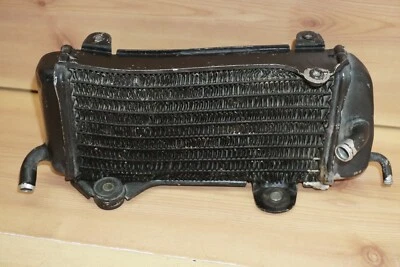 1983 Yamaha YZ250 YZ 250 OEM Left Cooling Radiator Coolant 24Y-12460-01-00 - Изображение 1 из 4