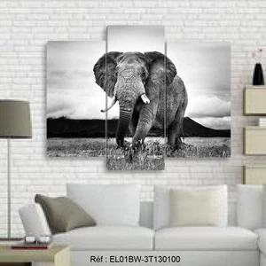 130x100- Kit 3 TOILES IMPRIMEE TABLEAU DECORATION - ELEPHANT- EL01BW-3T130100 - Foto 1 di 14