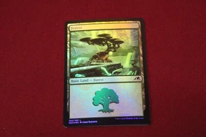 Forest 292 x4 Lámina Kamigawa Dinastía de Neón Casi Nuevo Nunca Jugado Magic The Gathering - Imagen 1 de 3