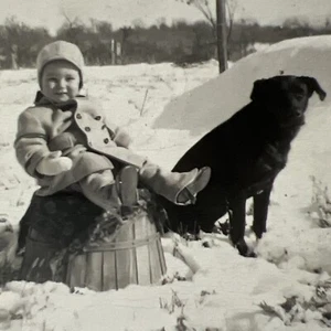 Vtg 1950s Boy w Black DOG Sitting in the SNOW Winter Photo Snapshot - Picture 1 of 12