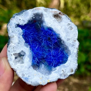 95G Indian dandelion zeolite Quartz Crystal Cluster Mineral Specimen - Picture 1 of 12