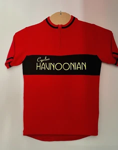 Nueva camiseta de ciclismo de lana merino de Harry Havnoonian - Imagen 1 de 7