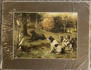 FLAT COATED RETRIEVER & SPANIELS DOG ART PRINT by famous artist MAUD EARL Matted - Picture 1 of 5