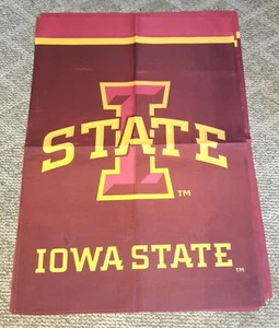 Iowa House Flag 28"x40 officially licensed open box new - Picture 1 of 1