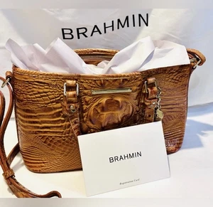 Bolso de Mano Brahmin Asher Cartera con Bolsa para el Polvo y Tarjeta de Cuidado Marrón Tostado - Imagen 1 de 11