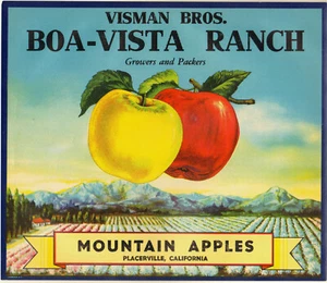 *Original* BOA-VISTA RANCH Placerville Ca Mountain Apple Crate Label NOT A COPY! - Picture 1 of 1