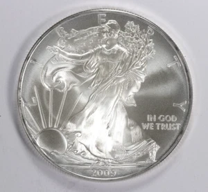 2009 $1 American Silver Eagle 1oz .999 Fine Silver Dollar Strike Thru Error - Picture 1 of 5