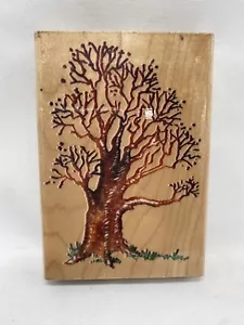 STAMPENDOUS P015 GRAND OLD TREE Wood Rubber Stamp L166 NEW - Picture 1 of 3
