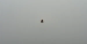 Tornillo para puente de ruedas para ETA 2890, 2892-A2, tren tornillo br. , parte 5110 - Imagen 1 de 3