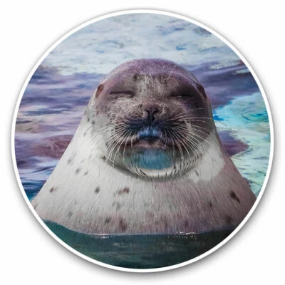 2 x Vinyl Aufkleber 20 cm - Sleepy Seal Ozean Marine Cool Geschenk #14503 - Bild 1 von 4