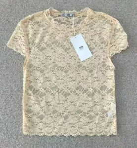 ZARA Sheer LACE TOP size S 6 8 peach PINK BNWT scallop EDGE - Picture 1 of 4