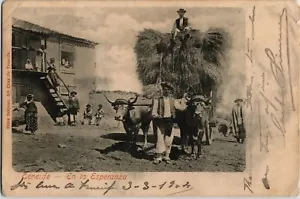 Spanien 1904 AK Vintage Teneriffa En la Esperanza (1386) - Bild 1 von 2