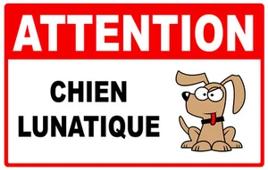 ACHTUNG WAHNSINNIGER HUND LUSTIGER HUMOR 15cm AUFKLEBER STICKER AA201 - Bild 1 von 1