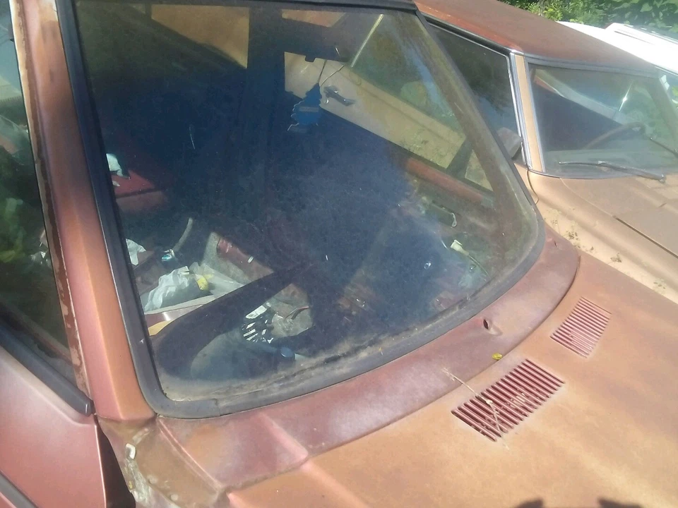 BONITO PARABRISAS DELANTERO CON CROMO, DODGE OMNI 1989 Foto 1 de 1