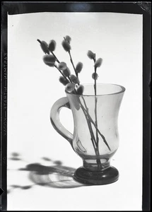 tolles Stillleben mit "WEIDENKATZCHEN", ausgefallen, Eduard PEZDIKA, Vintage Fine Art - Bild 1 von 5