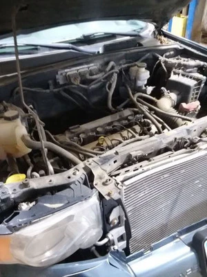 Trunk/Hatch/Tailgate Privacy Tint Glass Fits 10-12 ESCAPE 1967725 - Image 1 of 4