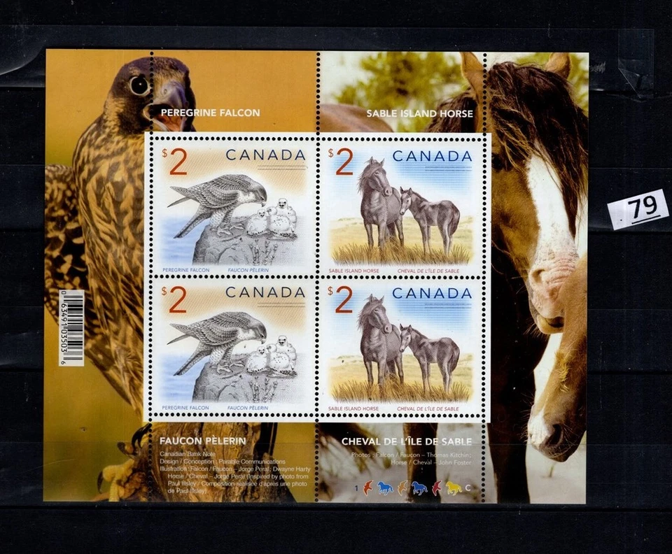 OA CANADÁ - MNH - ANIMALES - CABALLO - AVES Foto 1 de 1