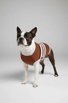Suéter para mascotas de la Universidad de Texas acogedor gatos perros talla pequeña 9”-12” naranja quemado Foto 1 de 4