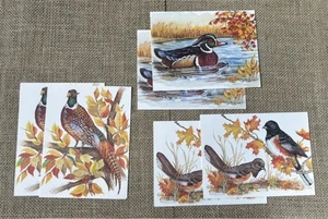 Vintage John Cornacchio Autumn Birds Blank Note Card Set Rustic Nature Botanical - Picture 1 of 5