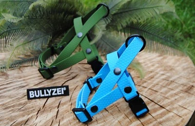 Norwegergeschirr Soft Vinyl BLAU Gr.S-M abwischbar Französische Bulldogge PVC - Bild 1 von 2