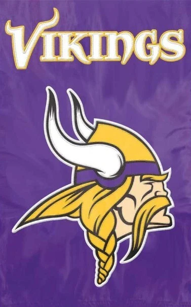 The Party Animal AFVI Vikings 44x28 Applique Banner