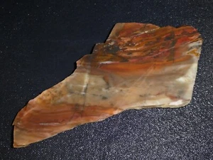 Losa de jaspe Outback - 6 1/4" x - 2 5/8" - áspera - cableado - pantalla - coleccionar - geología - Imagen 1 de 3