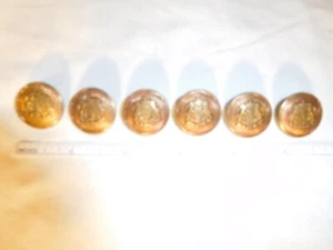 8 Vintage 7/8 inch Brass/Copper Color Coat of Arms Metal Button Lot - Picture 1 of 7