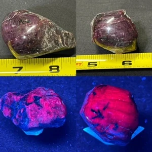 BEAUTIFUL LARGE RUBY CRYSTAL ,ONE FACE POLISHED, INDIA : LW FLUORESCENT - Picture 1 of 18