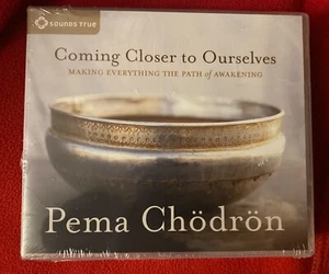 Coming Closer to Ourselves: Making Everything the Path of Awakening - Picture 1 of 3