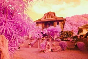 550nm Candy Chrome, Infrared Filter 52mm ** SEE VIDEO ** pink/blue UK Seller - Picture 1 of 16