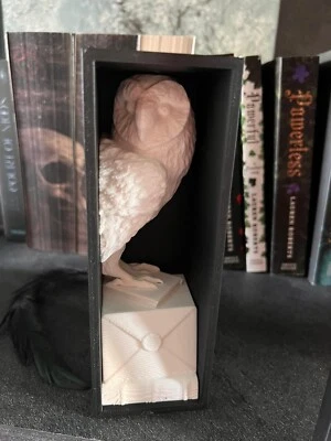 Buchhalter Eule - Bild 1 von 4