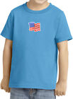Buy Cool Shirts Kids Waving Usa Flag T-Shirt Patch Small Print Toddler Tee