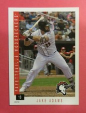2019 Grandstand, Fayetteville Woodpeckers - JAKE ADAMS