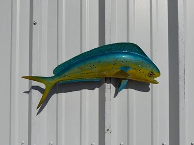 22" Bull Dolphin (Mahi) réplica de montagem de peixe de dois lados - Em estoque e pronta para envio - Imagem 1 de 4