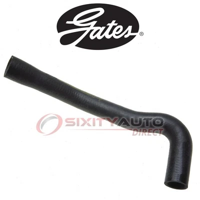 Gates Lower Radiator Coolant Hose for 1979 Ford Mustang 2.8L V6 - Antifreeze sp Foto 1 de 4