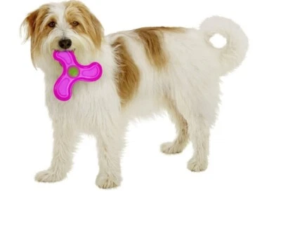 FRISBEE, Hundespielzeug,Gummi,TPR,22cm, Wurfspielzeug,Apportieren,Hundefrisbee - Bild 1 von 3