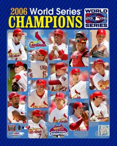 2009 World Series St. Louis Cardinals 8 X 10 Photo AAHL170 - Picture 1 of 1