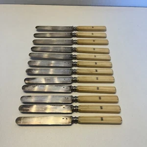 12er Set Messer Klinge aus massivem Silber Knochengriff - Bild 1 von 23
