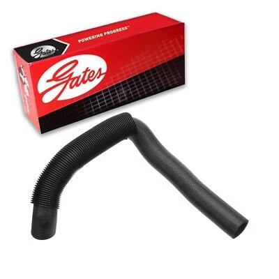 Gates Radiator Coolant Hose Upper For 1992-1996 Dodge Dakota - Image 1 of 3