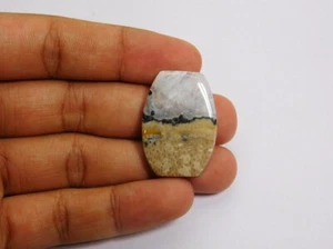 Preciosa joyería de piedras preciosas sueltas ágata raíz de palma natural 42 quilates. ME-7411 - Imagen 1 de 3