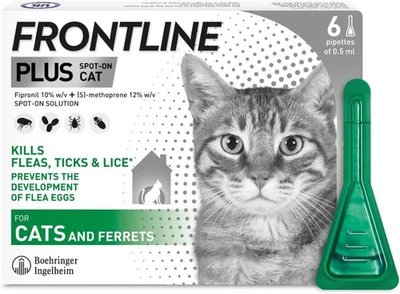 Frontline Plus Spot on Cat For Cats and Ferrets 6 Pipettes