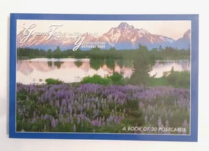 Grand Teton/Yellowstone Nationalpark Postkartenbuch mit 30 glänzenden übergroßen Fotos - Bild 1 von 3