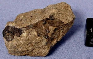 17,12 gr. KRUSTENHAFTES STÜCK NWA 6560 ACHONDRIT HOWARDIT METEORIT HED GROUP  - Bild 1 von 3