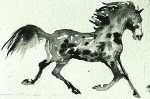 ACEO  Black leopard Appaloosa horse running Art  signed print stallion,equine
