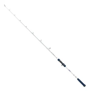 Xesta 19 Slow Emotion Power Pitch Jerk B55-PPJ Offshore Bait casting rod Japan - Picture 1 of 4