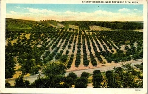 Vintage Michigan MI Postcard Aerial View Cherry Orchard Farm Traverse City 1937 - Picture 1 of 3