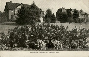Lansing,MI Agricultural Laboratories c1910 Ingham County Michigan Postcard - Picture 1 of 2