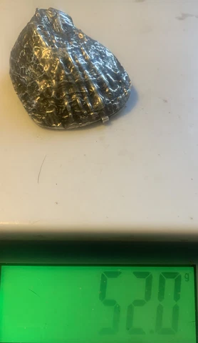 Antique Solid Silver Figural Oyster Shell shaped Trinket Box Pill Holder 52 gram Cover